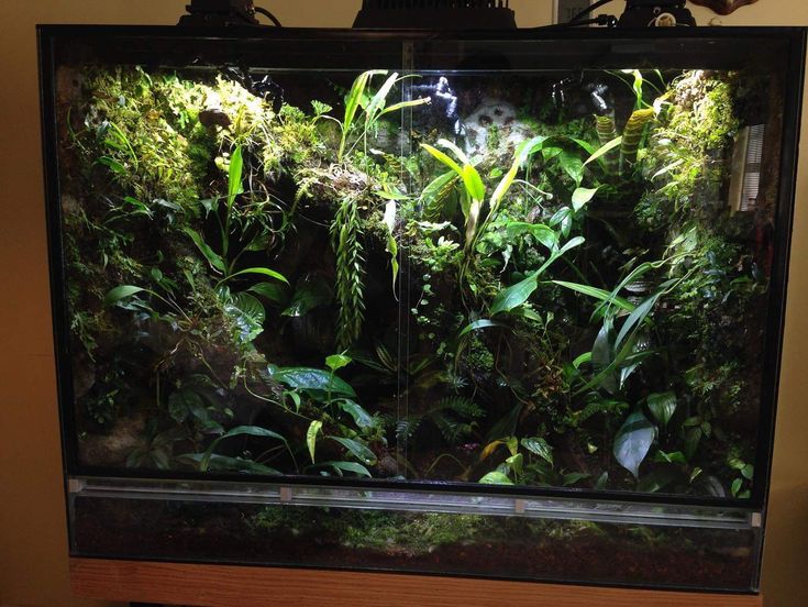 Building an Expert Enclosure